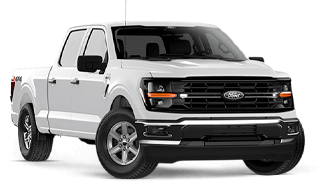 Modelo-CotiRapida-F-150